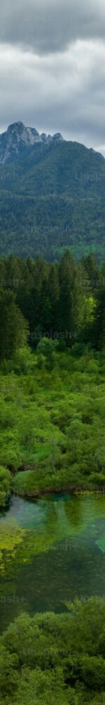 premium_photo-1666863909125-3a01f038e71f