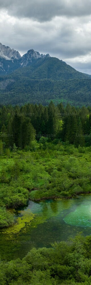 premium_photo-1666863909125-3a01f038e71f