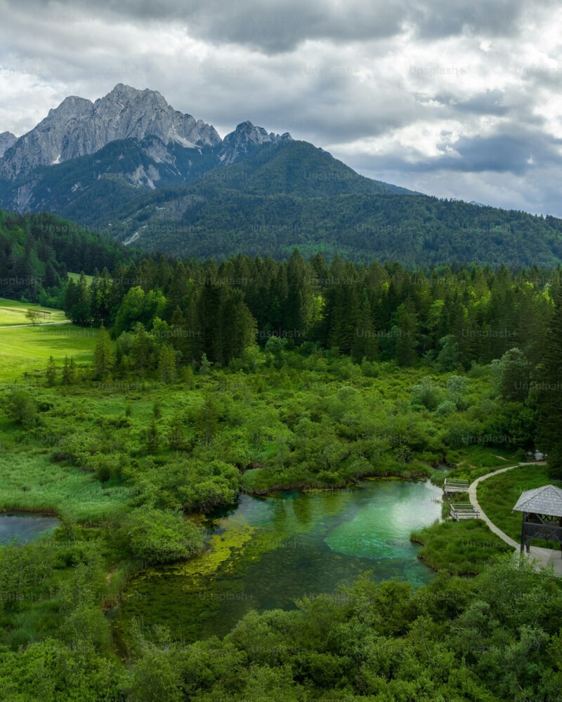 premium_photo-1666863909125-3a01f038e71f