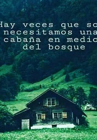 80e076c674ed38954a669bba3c36b1f4