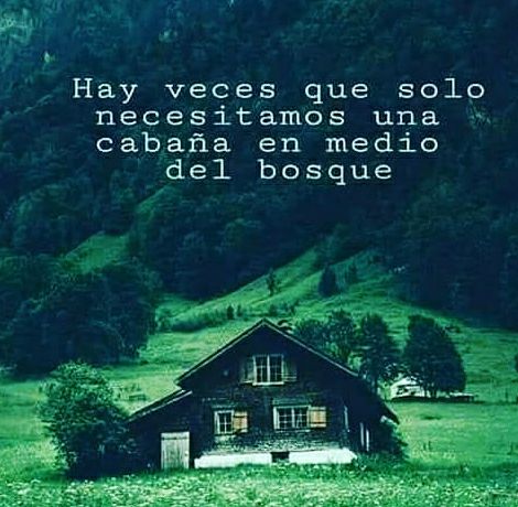 80e076c674ed38954a669bba3c36b1f4