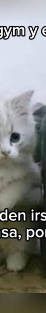 500707242_591609117295345_6202282931738111195_n