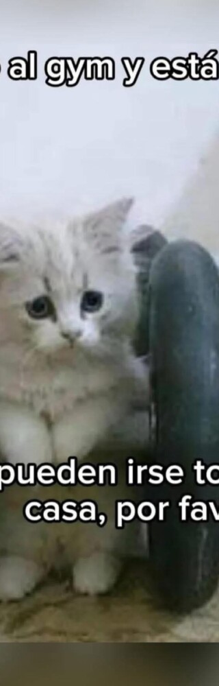 500707242_591609117295345_6202282931738111195_n