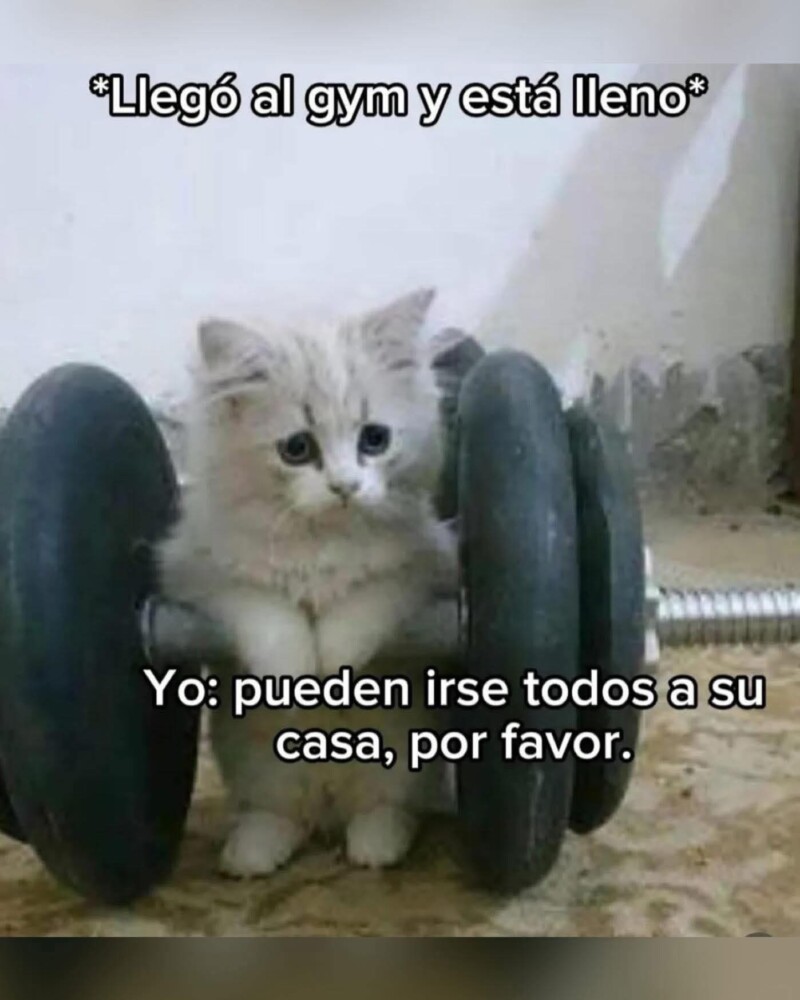 500707242_591609117295345_6202282931738111195_n