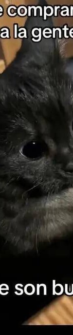 503272810_678113461800779_2199062876870603776_n