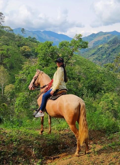 captura-de-pantalla-2025-07-13-113455-2