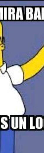 09e3d5ca480525c3eb2ad8b47a3b3a6c75b19af4r1-720-519v2_hq