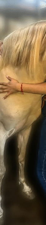 Captura de pantalla 2025-12-30 092951