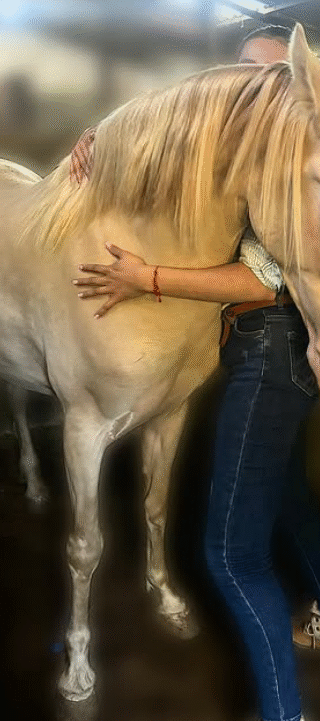 Captura de pantalla 2025-12-30 092951