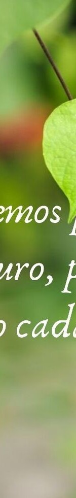 7ce1168e81ceb2941c1930b73220a9c5