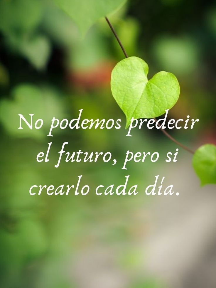 7ce1168e81ceb2941c1930b73220a9c5