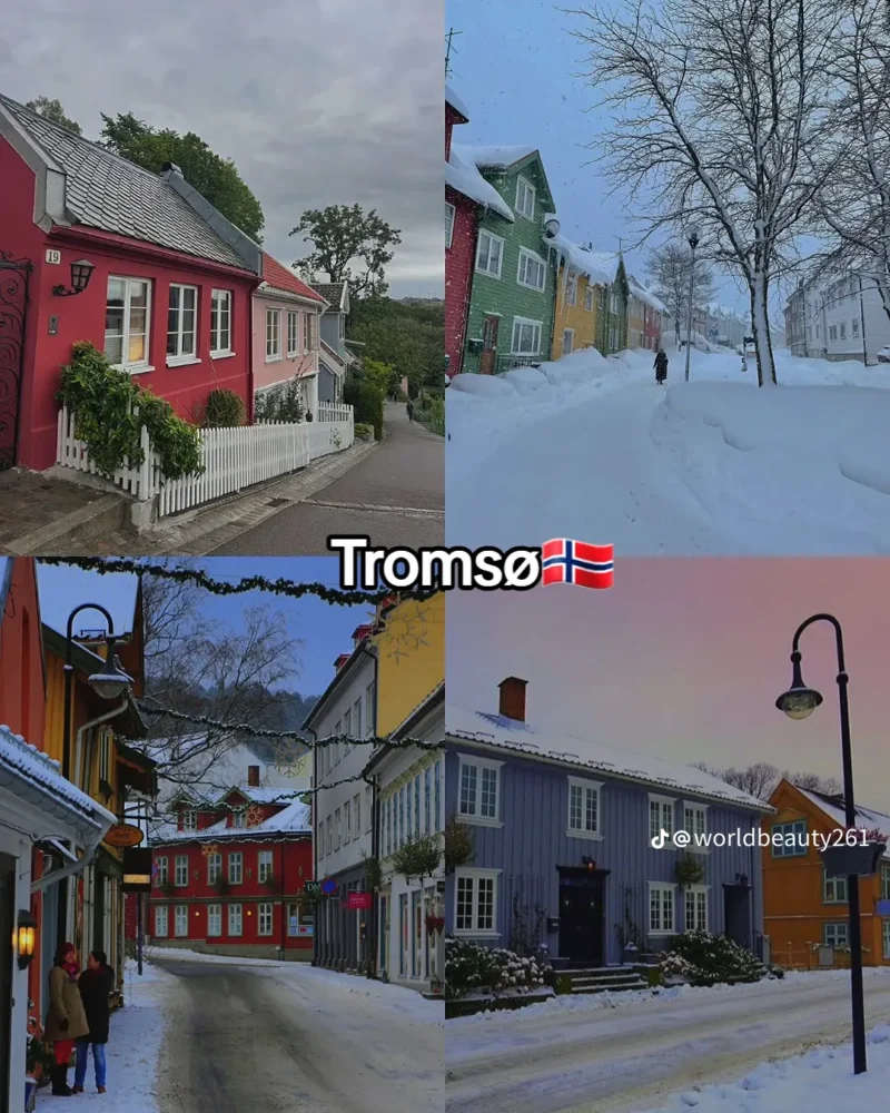 1b56d88932b4332121811295c14701e2