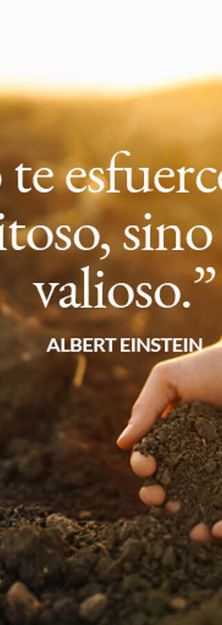 frases-motivadoras-trabajo_4828e629_240606141423_900x900
