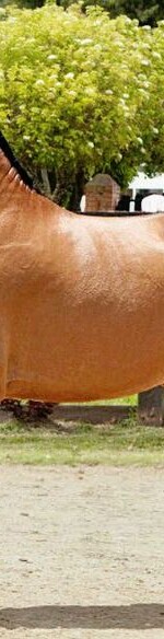 b07f09cc0c8476d064c51f6b1e19da70