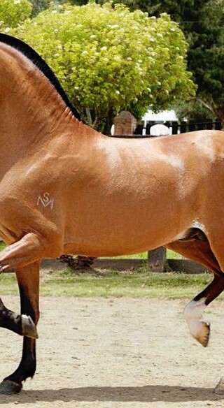 b07f09cc0c8476d064c51f6b1e19da70