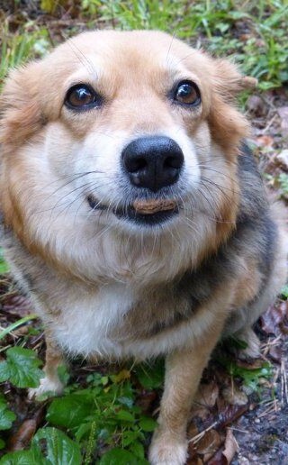 5fd670ddea6bcf99facd78fe6faf3ee8