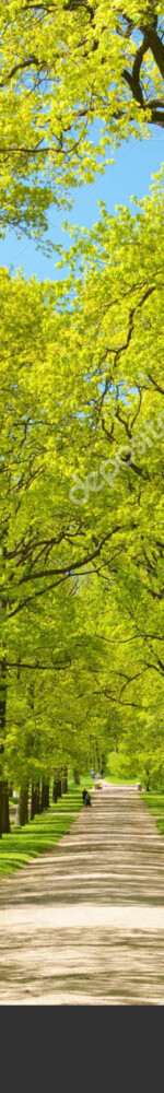 depositphotos_156255608-stock-photo-the-natural-landscape-in-the