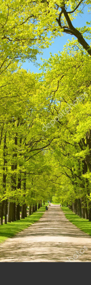 depositphotos_156255608-stock-photo-the-natural-landscape-in-the