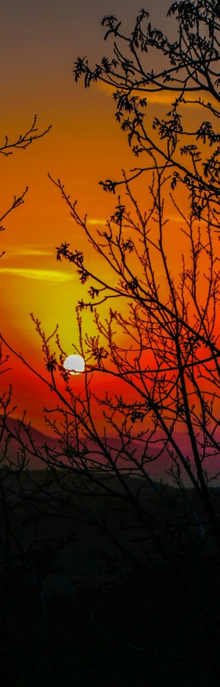 photo-1641897130450-a250eb274a0d