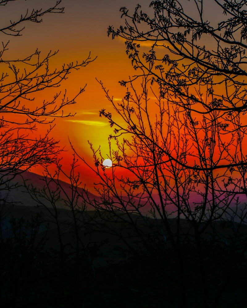 photo-1641897130450-a250eb274a0d