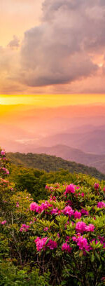 istockphoto-1403500817-612×612