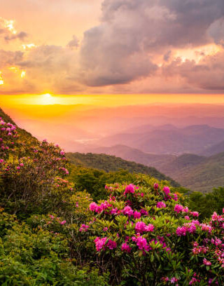 istockphoto-1403500817-612x612