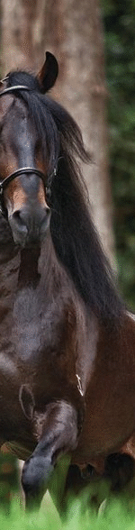 2e57913cdbc91602c119a194b268dd78